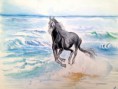 /album/aquarelles/photo-7-jpg/